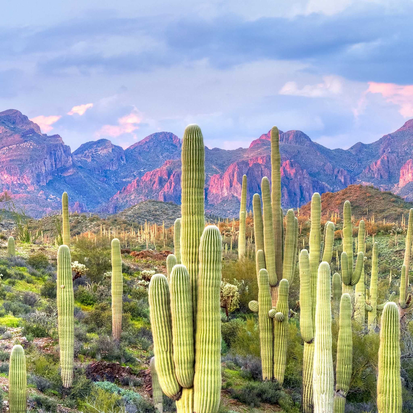 Superstition Mountains Phoenix Arizona Tour