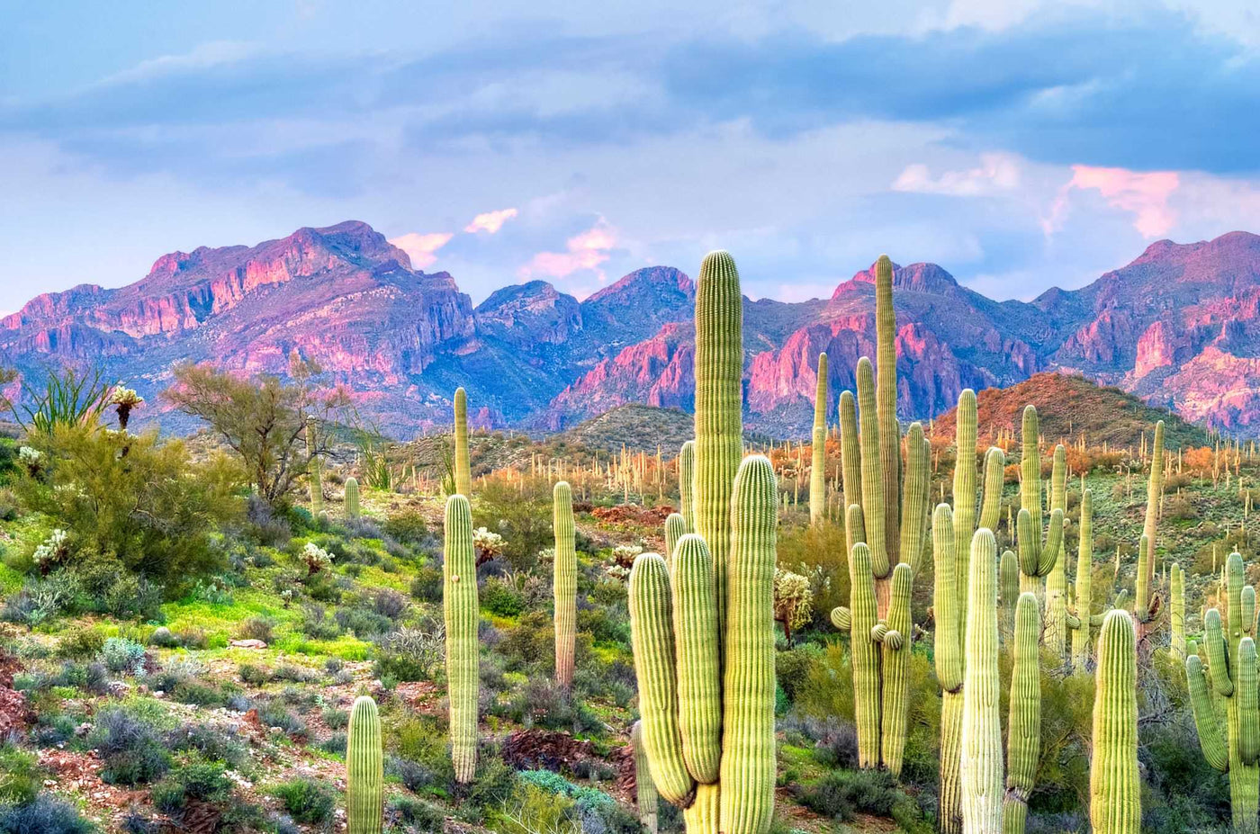 Superstition Mountains Phoenix Arizona Tour